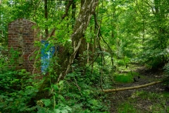 Lost Place Schießstand Bocholt