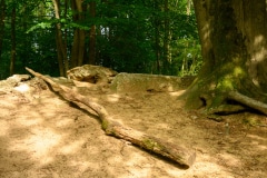 Lost Place Märchenwald Dingden