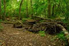 Lost Place Märchenwald Dingden