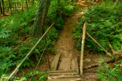 Lost Place Kleiner Steg im Märchenwald Dingden