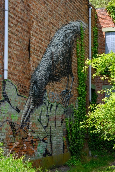 Foto-1025600-BE-Doel-Graffiti-web-1024-80