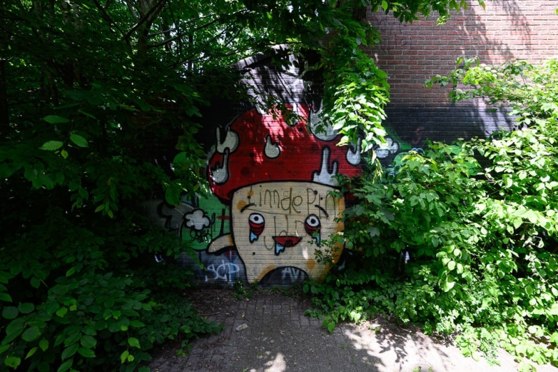 Foto-9003598-BE-Doel-Graffiti-web-1024-80