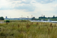 Blick auf Eisenbahnbrücke über den Rhein
