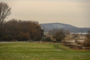 Foto-6033-DE-Duisburg-Alsumer-Berg-web-1920-80