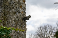 Foto-1031554-BE-Bassenge-Eben-Ezer-Tower-web-1024-80