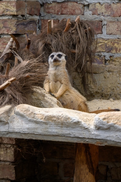 Foto-1035982-DE-Emsflower-Schmetterlingshaus-web-1920-80