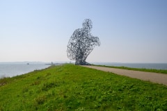 Foto-9014379-NL-Lelystad-Exposure-web-1024-80