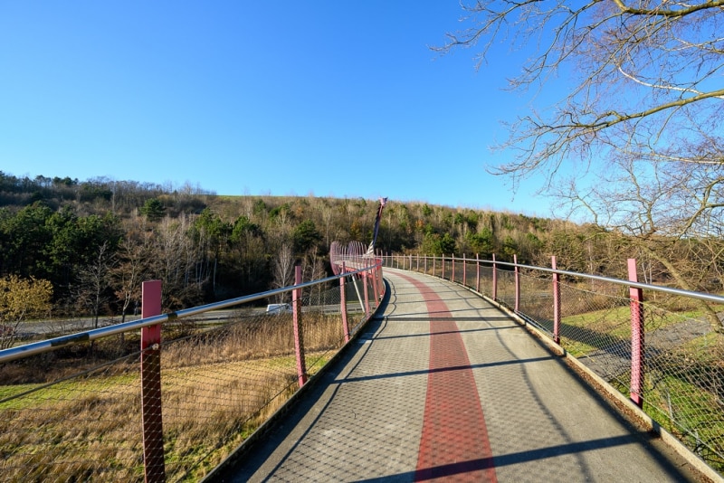 Foto-0022271-DE-Herten-Halde-Hoheward-Drachenbruecke-web-1024-80