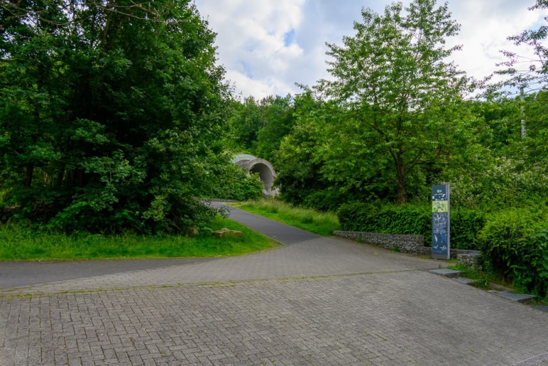 Foto-1034808-web-1024-80