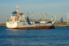 Orange Spirit IJmuiden Ship Spotting