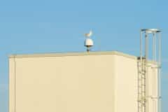 ShipSpotting IJmuiden