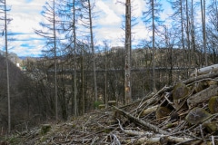Foto-9000534-DE-Luedenscheid-Rahmedetalbruecke-web-1024-80