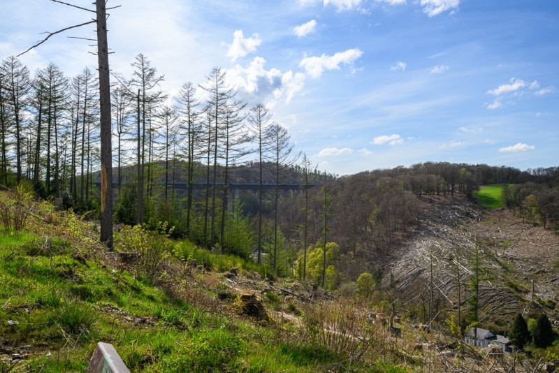 Foto-9002653-DE-Luedenscheid-Rahmedetalbruecke-web-1024-80