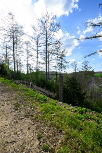 Foto-9002669-DE-Luedenscheid-Rahmedetalbruecke-web-1024-80