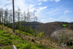 Foto-9002653-DE-Luedenscheid-Rahmedetalbruecke-web-1024-80