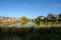 Pegelschlange in Minden