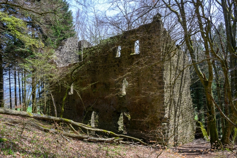 Foto-1032421-DE-Nerother-Kopf-Freudenkoppe-web-1024-80