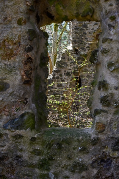 Foto-1032438-DE-Nerother-Kopf-Freudenkoppe-web-1024-80