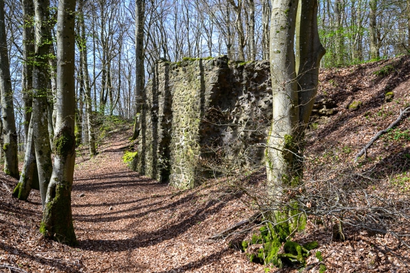 Foto-9013775-DE-Nerother-Kopf-Freudenkoppe-web-1024-80