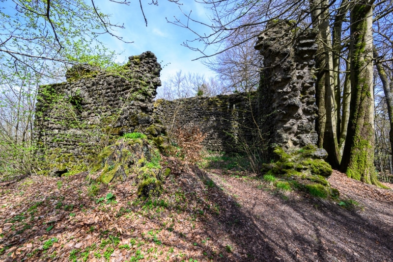 Foto-9013782-DE-Nerother-Kopf-Freudenkoppe-web-1024-80