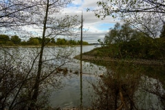 Aalkutter im Rhein bei Neuss