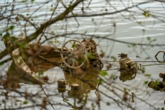 Aalkutter im Rhein bei Neuss