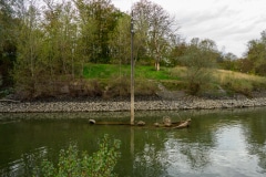 Aalkutter im Rhein bei Neuss