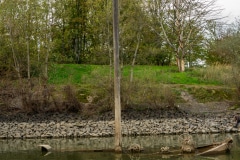 Aalkutter im Rhein bei Neuss