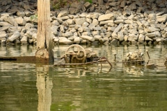 Aalkutter im Rhein bei Neuss