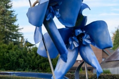 Foto-9010648-DE-Rees-Skulpturenpark-Delfinium-ferro-web-1920-80