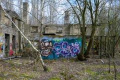 Foto-9002500-DE-Rheine-Bahnbetriebswerk-web-1024-80