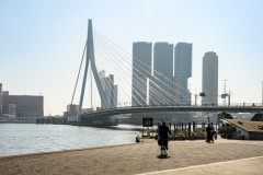 Erasmusbrug in Rotterdamn