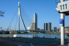 Erasmusbrug in Rotterdamn