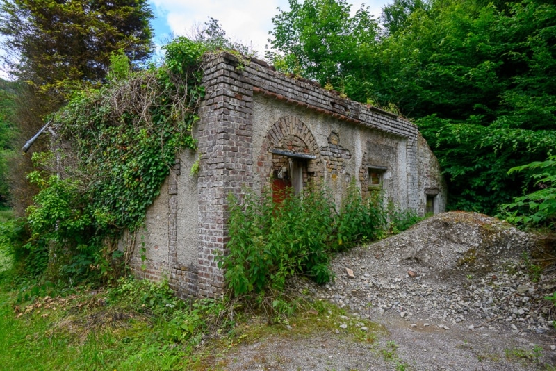 Foto-1034935-DE-Sterbecker-Tal-web-1024-80