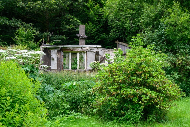 Foto-1034945-DE-Sterbecker-Tal-web-1024-80