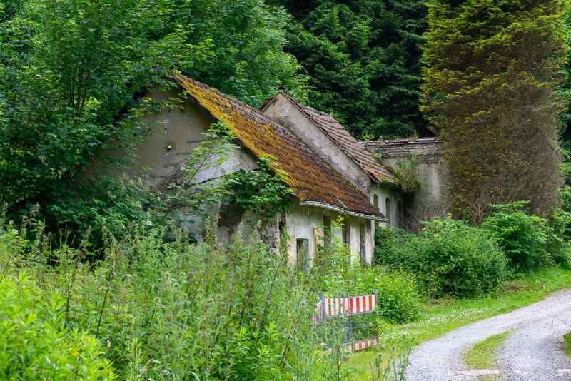 Foto-1034952-DE-Sterbecker-Tal-web-1024-80