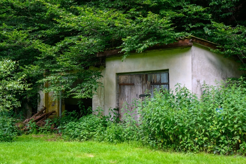 Foto-1034979-DE-Sterbecker-Tal-web-1024-80