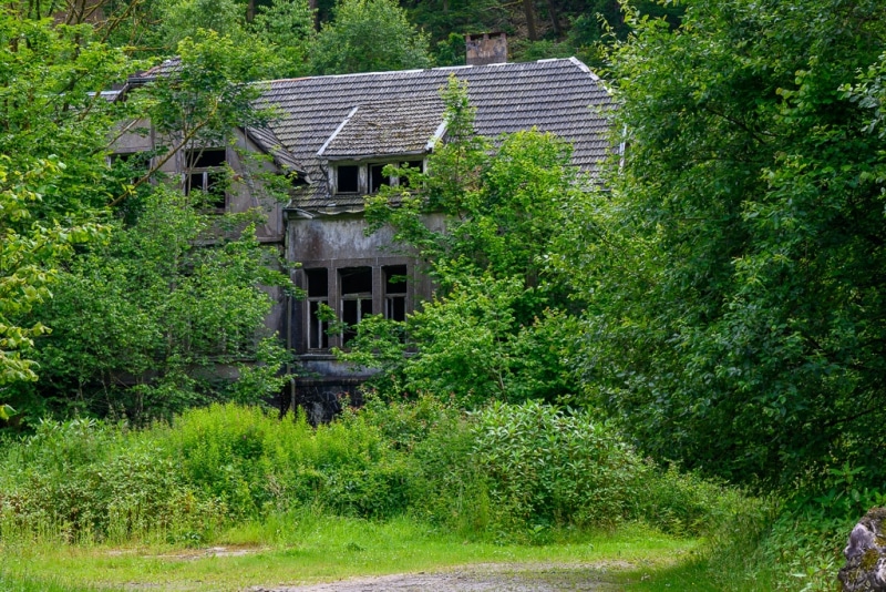 Foto-1034983-DE-Sterbecker-Tal-web-1024-80