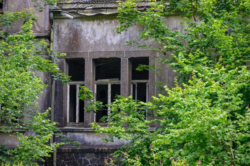 Foto-1034993-DE-Sterbecker-Tal-web-1024-80