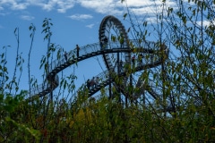 Foto-4003-DE-Duisburg-Tiger-Turtle-web-1920-80