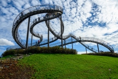 Foto-4015-DE-Duisburg-Tiger-Turtle-web-1920-80