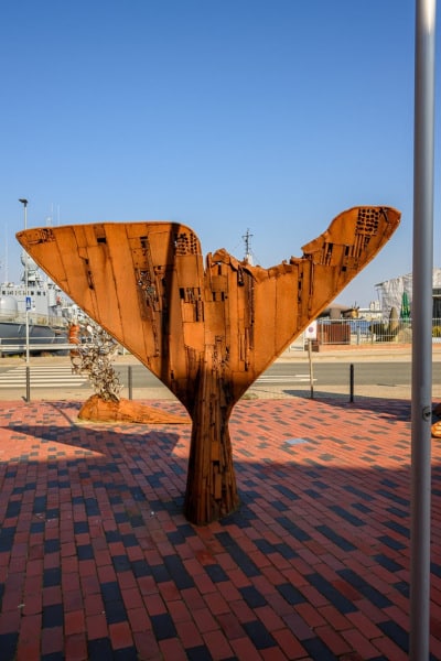 Foto-9012692-DE-Wilhelmshaven-web-1024-80