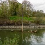 Lost Place Aalkutter in Neuss Aalkutter im Rhein bei Neuss