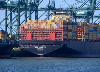 Fotospot Ship Spotting Doel Ship Spotting Antwerpen MSC Loreto