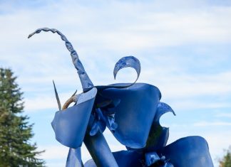 Fotospot Skulpturenpark in Rees