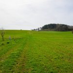 Fotospot Nerother Kopf