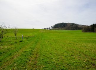 Fotospot Nerother Kopf