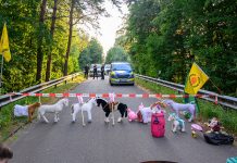 Protest an Autobahnbrücke gegen den 7. Castor Transport nach Ahaus
